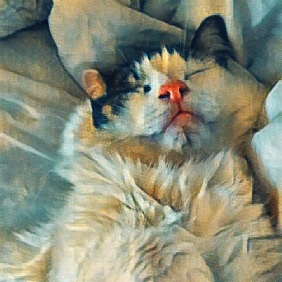 Meet your Posher, Deirdra - Picture 8 of 13